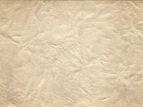 An image of a nice leather background. Cowhide texture. Stock Photos