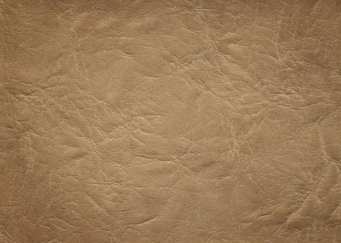 An image of a nice leather background. Cowhide texture. Stock Photos