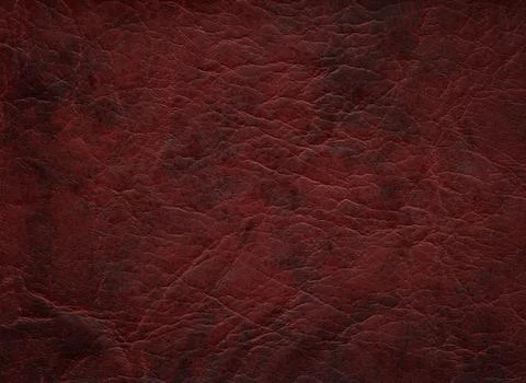 An image of a nice leather background. Cowhide texture. Stock Photos