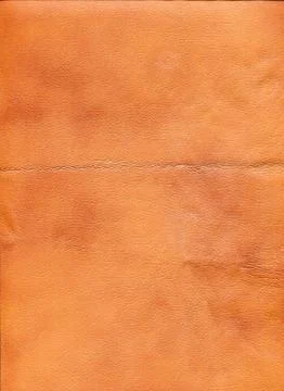 An image of a nice leather background. Cowhide texture. Stock Photos