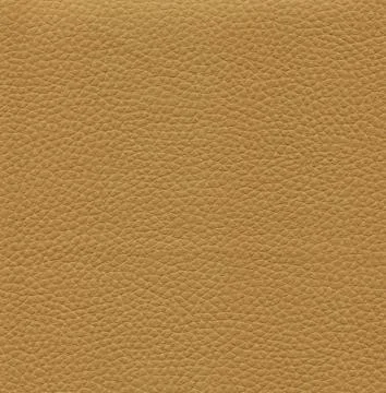 An image of a nice leather background. Cowhide texture. Stock Photos