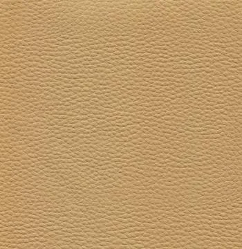 An image of a nice leather background. Cowhide texture. Stock Photos