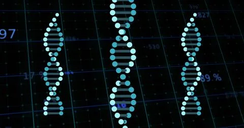 Image of numbers and data processing and dna strands spinning Stock Photos