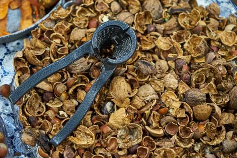 Image of a nutshell. Stock Photos