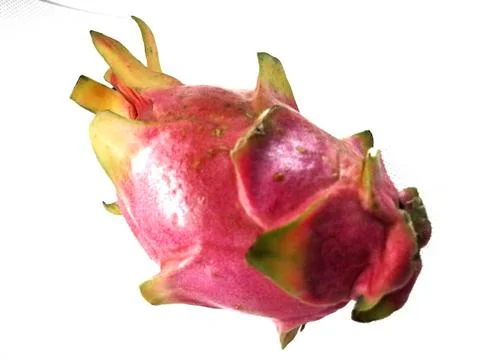Image ofdragon fruit. Image of isolate Stock Photos