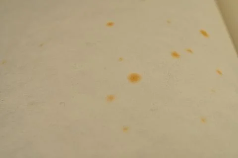 Image of old book page with orange dots, conveying nostalgia and a well-rea.. Stock Photos
