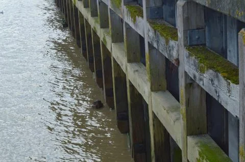 Image of old foundation of the docks with muddy thames river Stock Photos