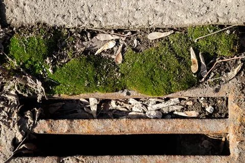 Image of old storm sewer system with moss Stock Photos