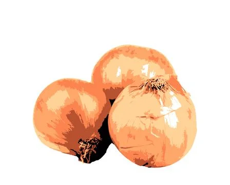 Image Of Onion On White Background Stock Photos
