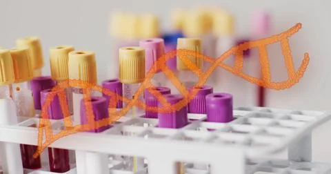 Image of orange dna strand over blood sample test tubes in rack Stock Illustration