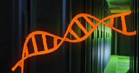 Image of orange dna strand rotating over dark computer server room Illustrazione stock