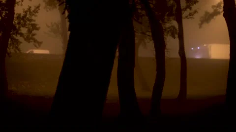 Image passing through trees during a heavy foggy night, cars at the background. Stock Footage 145966748