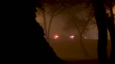 Image passing through trees during a heavy foggy night, cars at the background. Stock Footage 145966771