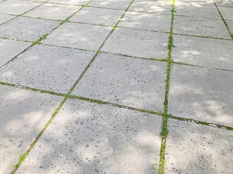 Image of a pavement or sidewalk with diagonal tile pattern, growing grass in  Stock Photos