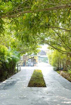 Image peaceful pathway surrounded lush branch tree shadow on walkway in gar.. Stock Photos