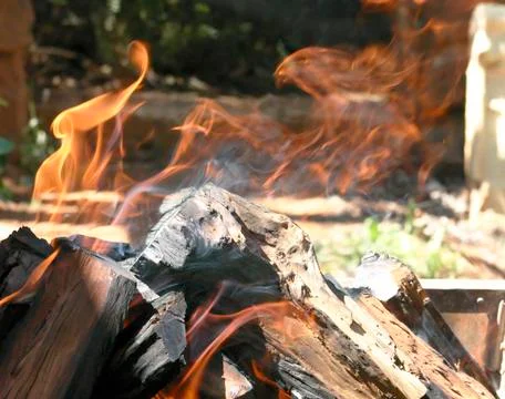An image of a Phoenix in the flames Stock Photos