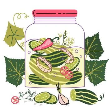 Image of pickled cucumbers or pickles, a popular fermented food vector. Stock Illustration