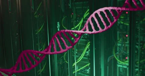 Image of pink dna strand moving over dark computer servers イラスト素材