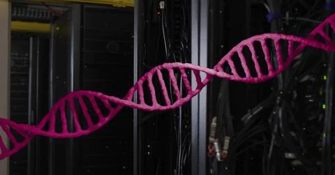 Image of pink dna strand over dark computer servers イラスト素材