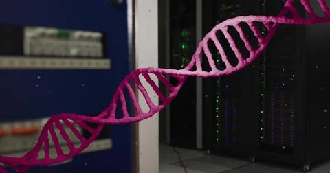 Image of pink dna strand rotating over computer server room Illustrazione stock