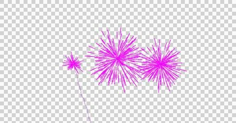 Image of pink fireworks exploding on white background Stock Illustration