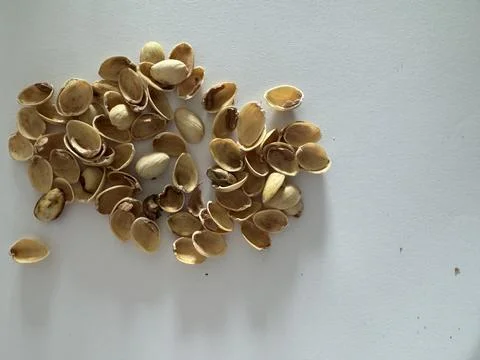 Image of pistachio shells on white background Foto stock