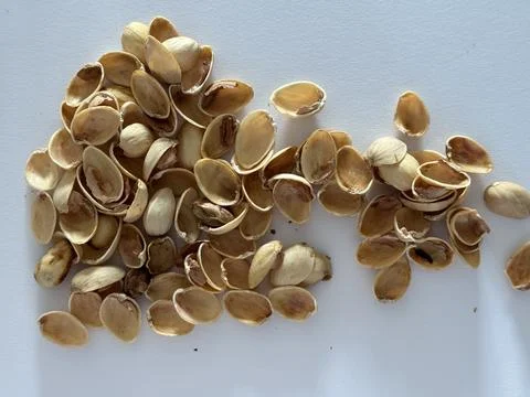 Image of pistachio shells on white background Foto stock