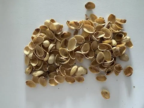 Image of pistachio shells on white background Foto stock