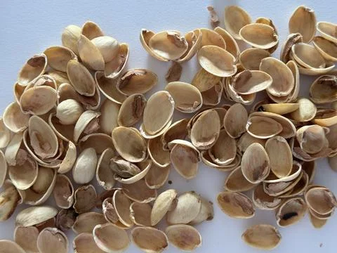 Image of pistachio shells on white background Stock Photos