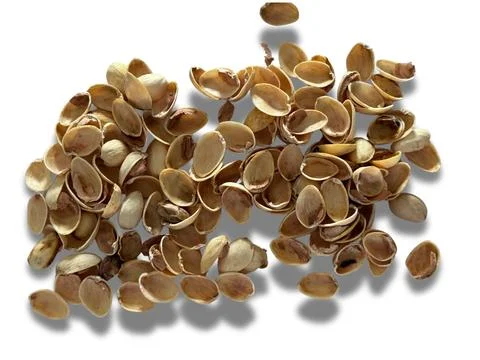 Image of pistachio shells on white background Foto stock