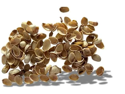Image of pistachio shells on white background 写真素材