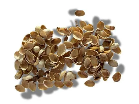 Image of pistachio shells on white background 写真素材