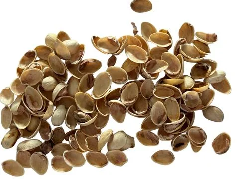 Image of pistachio shells on white background 写真素材