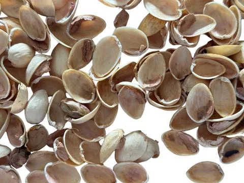 Image of pistachio shells on white background Foto stock