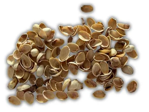 Image of pistachio shells on white background 写真素材