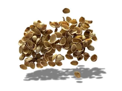 Image of pistachio shells on white background 写真素材