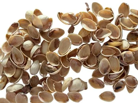 Image of pistachio shells on white background 写真素材