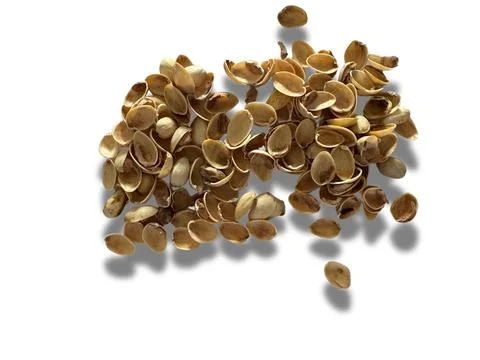 Image of pistachio shells on white background Foto stock