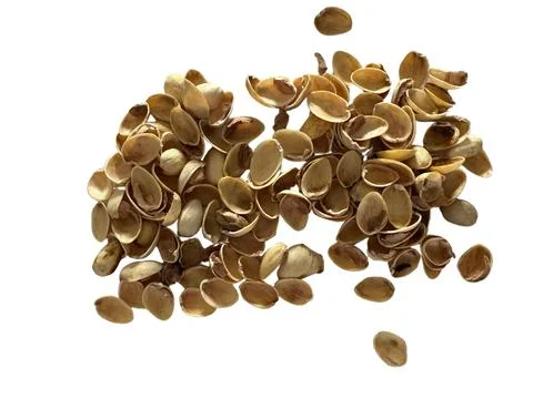 Image of pistachio shells on white background Foto stock