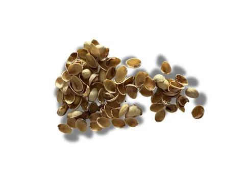 Image of pistachio shells on white background Foto stock