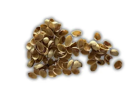 Image of pistachio shells on white background 写真素材