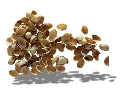 Image of pistachio shells on white background Foto stock