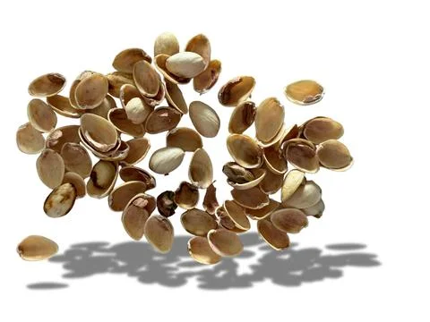 Image of pistachio shells on white background 写真素材