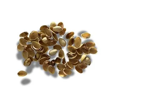 Image of pistachio shells on white background Foto stock