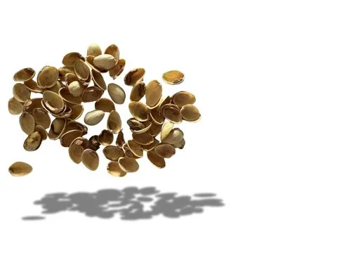 Image of pistachio shells on white background 写真素材