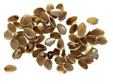 Image of pistachio shells on white background Foto stock