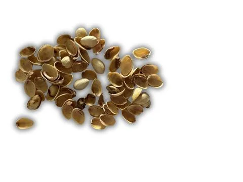 Image of pistachio shells on white background Stock Photos