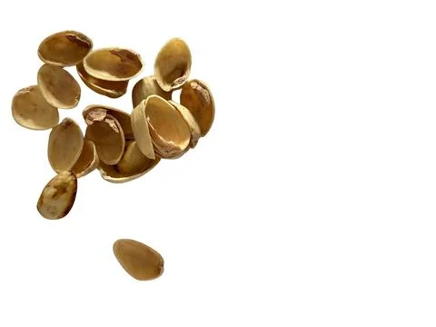 Image of pistachio shells on white background Foto stock