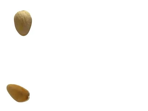 Image of pistachio shells on white background 写真素材