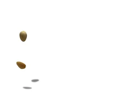 Image of pistachio shells on white background 写真素材